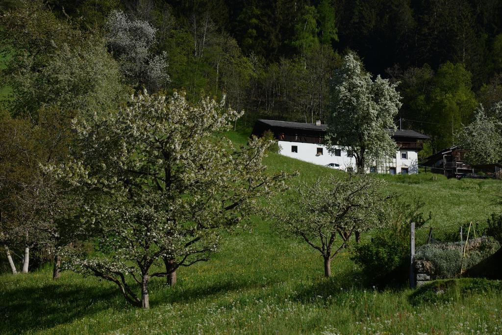 Haus Elisabeth Bed & Breakfast Нойщифт им Щубайтал Екстериор снимка